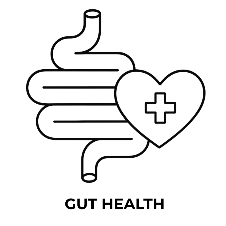 hormone balance solutions holistic (2).png