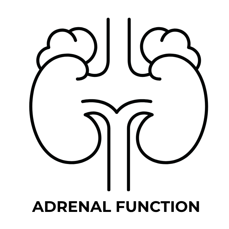 hormone balance solutions holistic (3).png