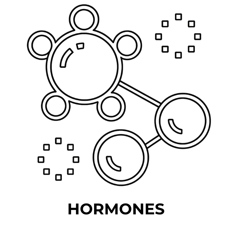 hormone balance solutions holistic.png