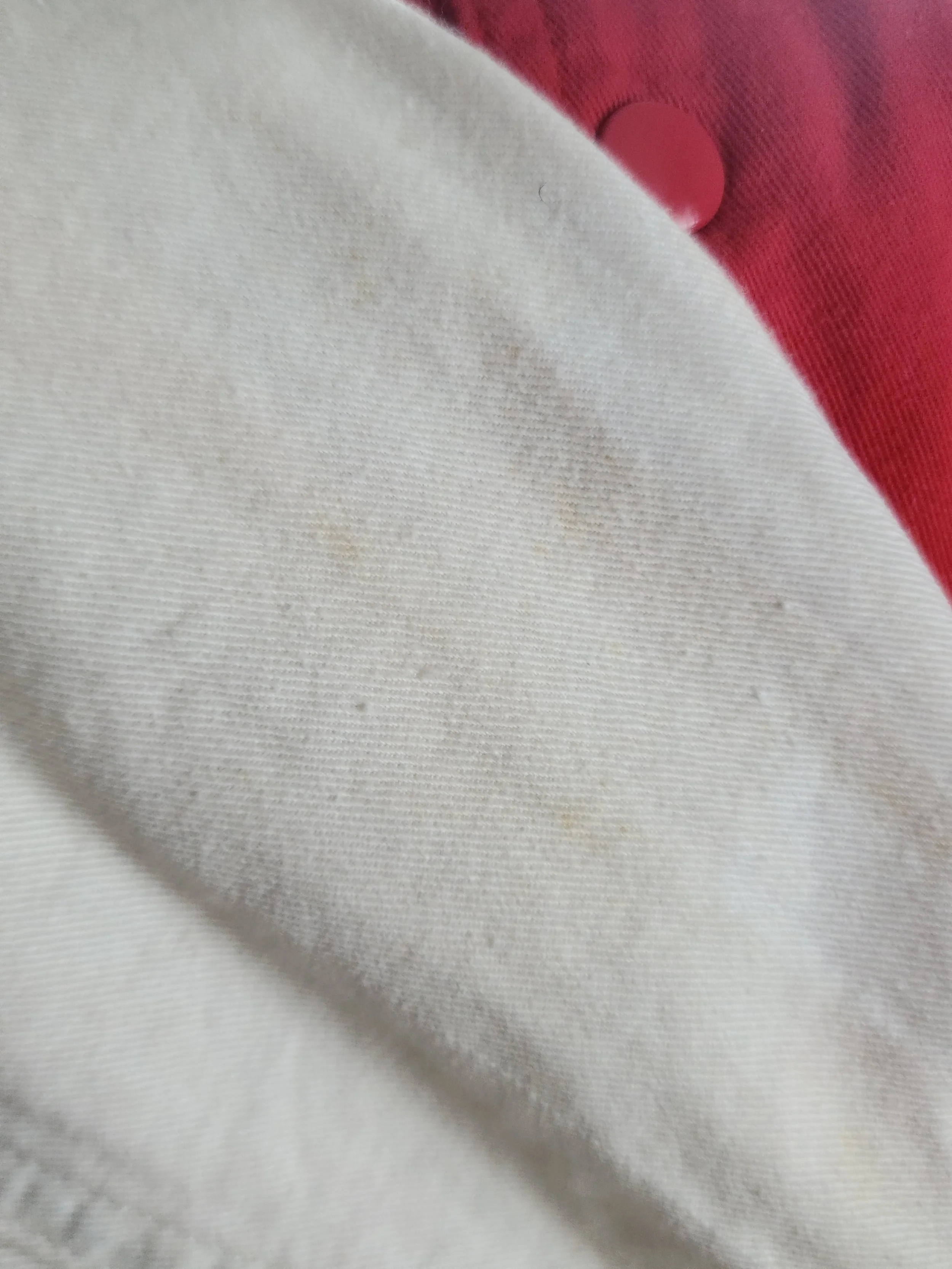 20250724_161529.jpg