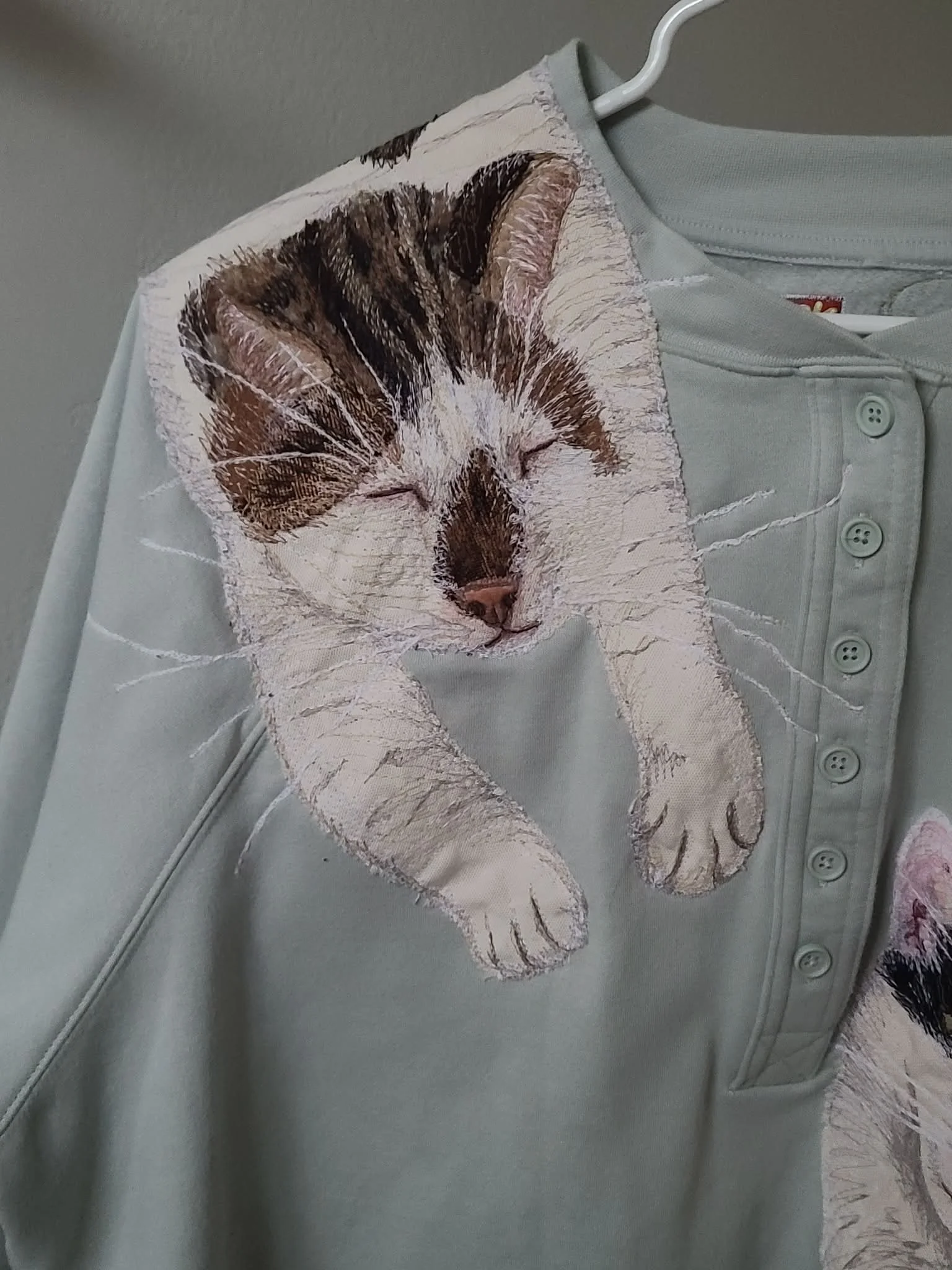 Darwin and Booster Custom for Pat!