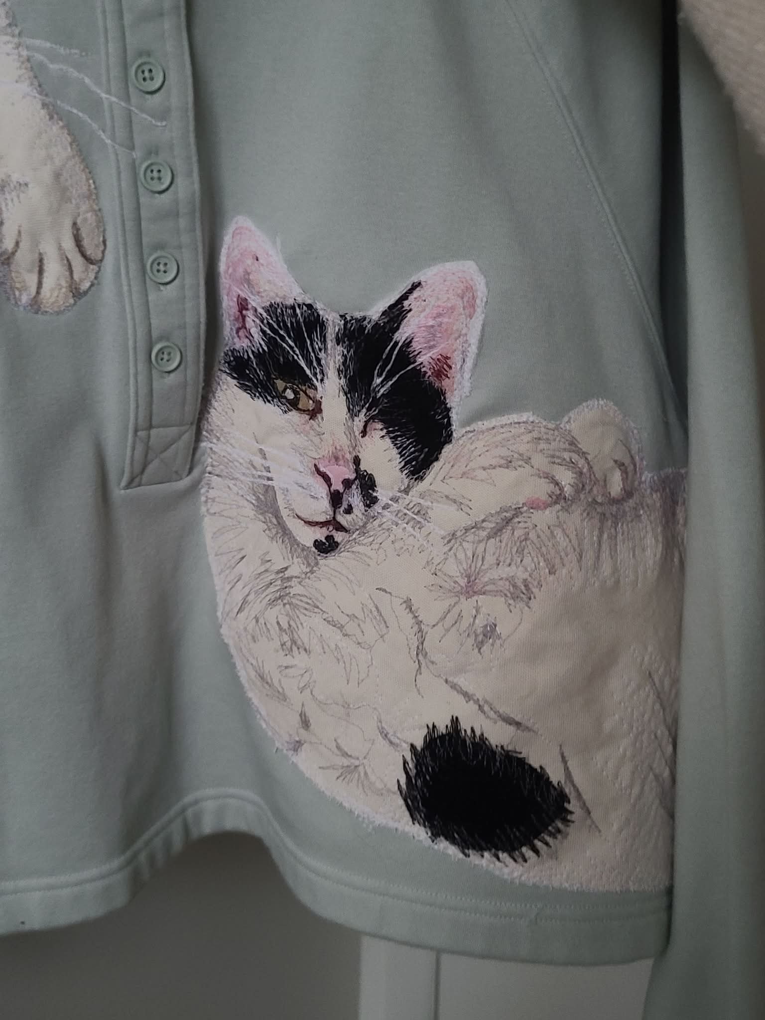 Darwin and Booster Custom for Pat!