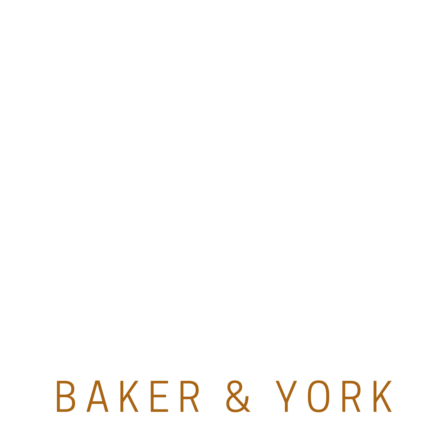 Baker and York - Advising Global Clients in Public Affairs and Public Policy