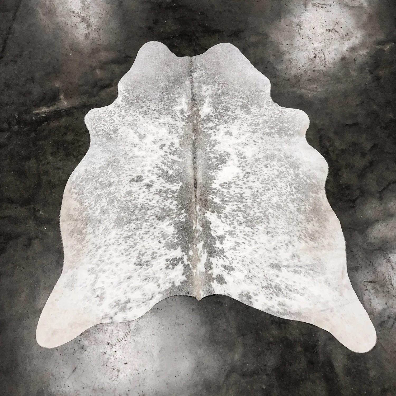 B74F79F7-ACA9-43D3-B155-