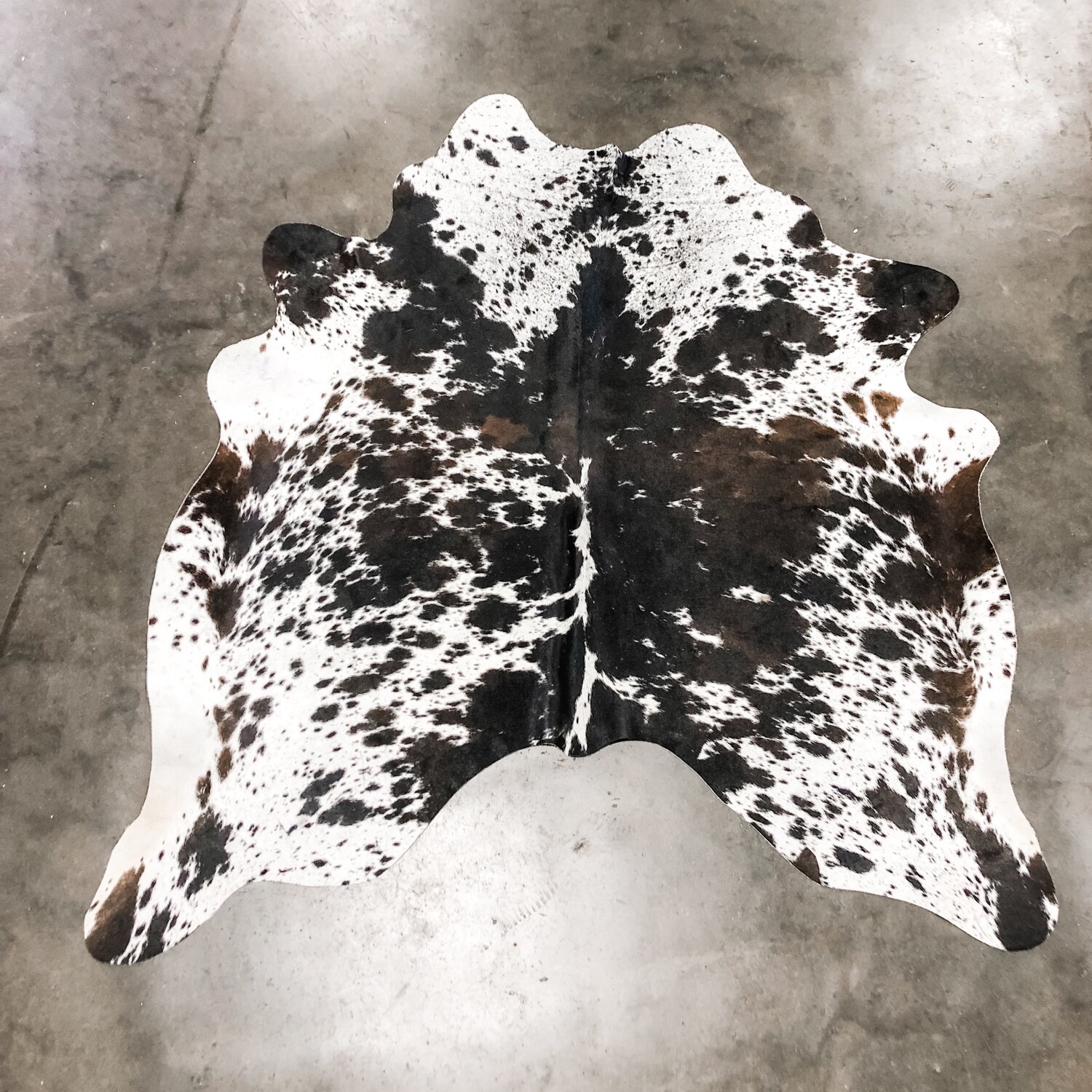 Coasters - Set of 2 - Tricolor Spotted Cowhide — Farmericana Designs