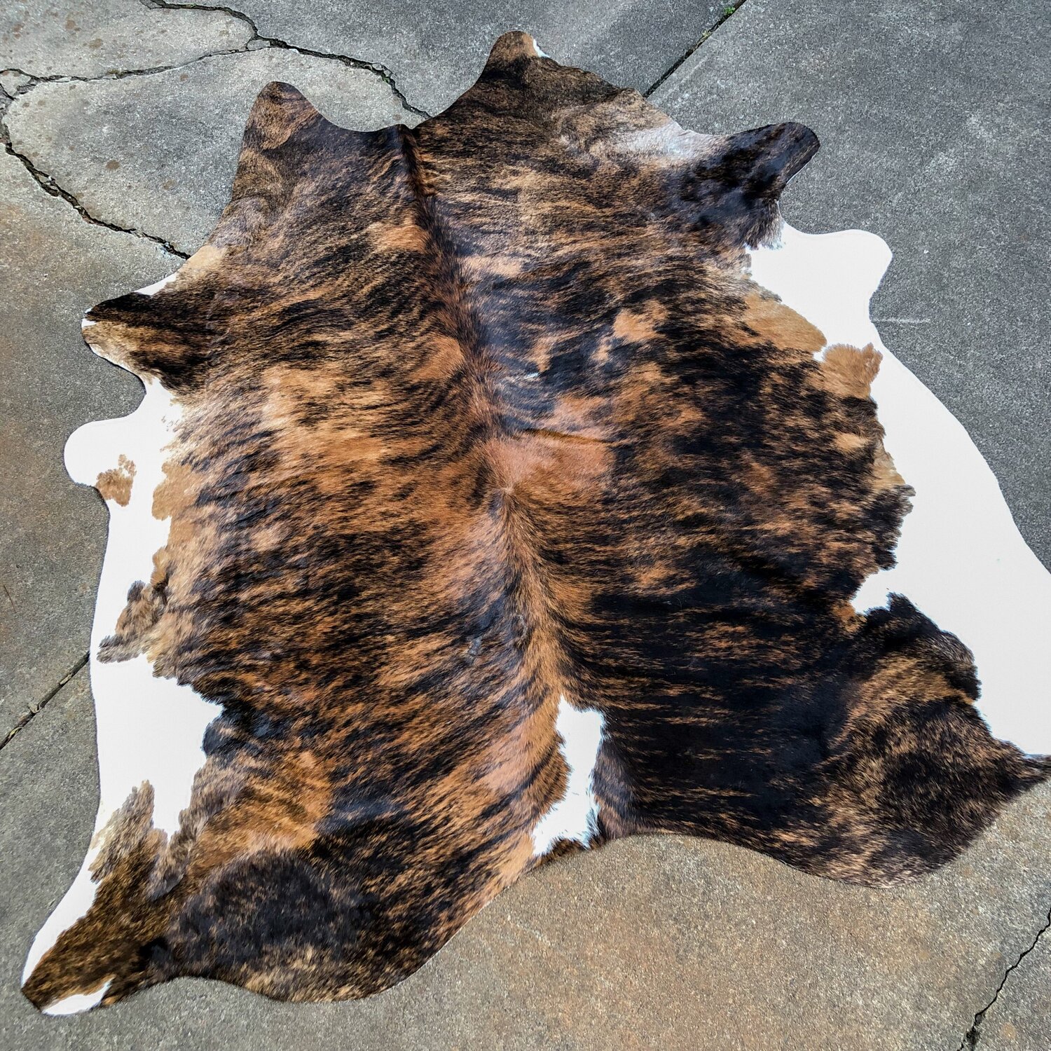 Beige & Dark Brown Cowhide Rug - Woodwaves