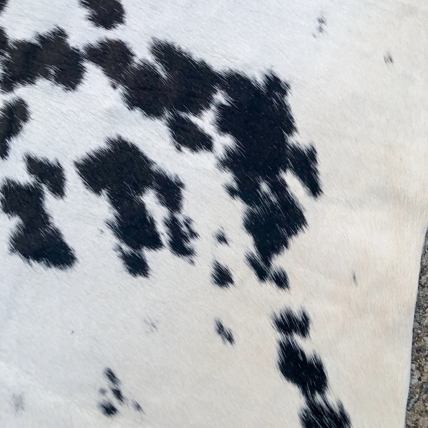 Medium Size - Spotted Black & White Cowhide Rug — Farmericana Designs