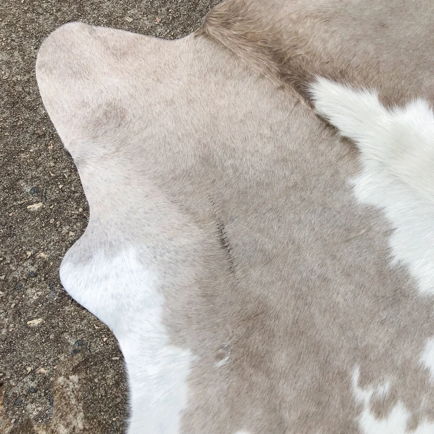 無地ホワイト牛革ラグ 縦270cm横223cm Cowhide Rug 無地ホワイト牛革ラグ 縦270cm横223cm Cowhide Rug
