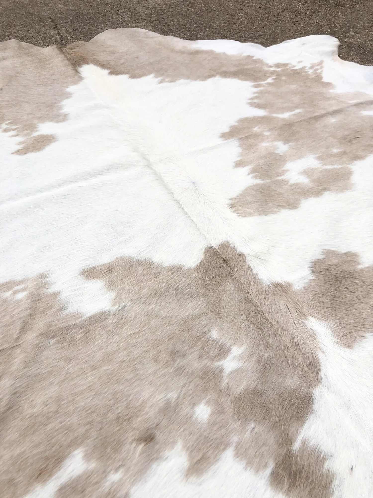 無地ホワイト牛革ラグ 縦270cm横223cm Cowhide Rug XL Size - Light Taupe & White Cowhide Rug — Farmericana Designs
