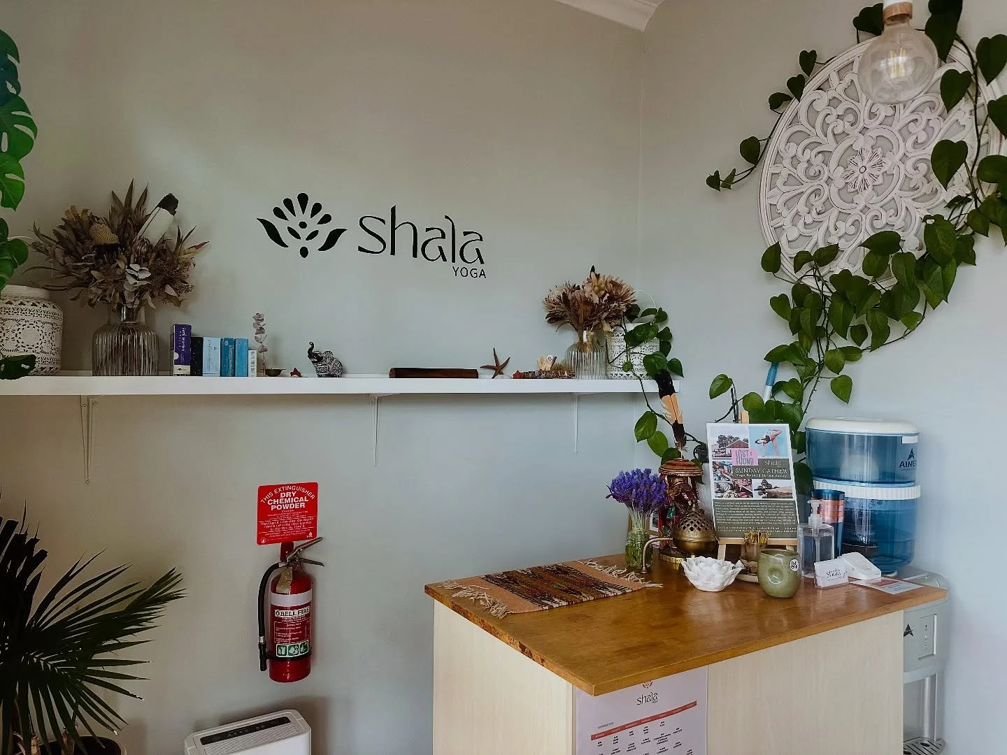 Our beautiful reception space 🧡🌿 

Did you know we open 15 minutes before class? We appreciate it if you try to arrive no later than 5 minutes before class to settle in. Doors shut for class on time. 

When you arrive, make sure you sign in with yo