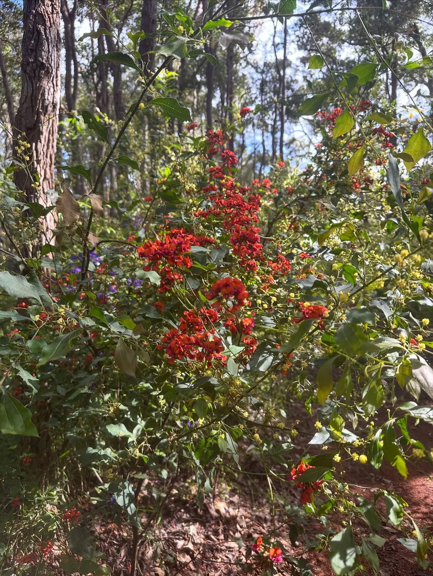 &ldquo;The ❤️ heart is like a garden. It can grow compassion or fear, resentment or love. What seeds will you plant there?&rdquo; ~ Jack Kornfield

🌱🌼🌻🌸🌷🌺🌹

#seeyouintheshala #shalayoga #natureinspiration