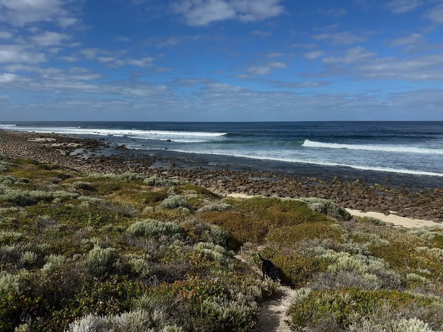 Please be mindful of our schedule this Long Weekend&hellip;

☀️Saturday 24 January
- 8am Power Flow
- 9.30am Slow Flow

☀️Sunday 25 January 
- 4.30pm Yin Yang Nidra

☀️Monday 26 January
- Closed

We return to our regular schedule on Tuesday 27th.

#s