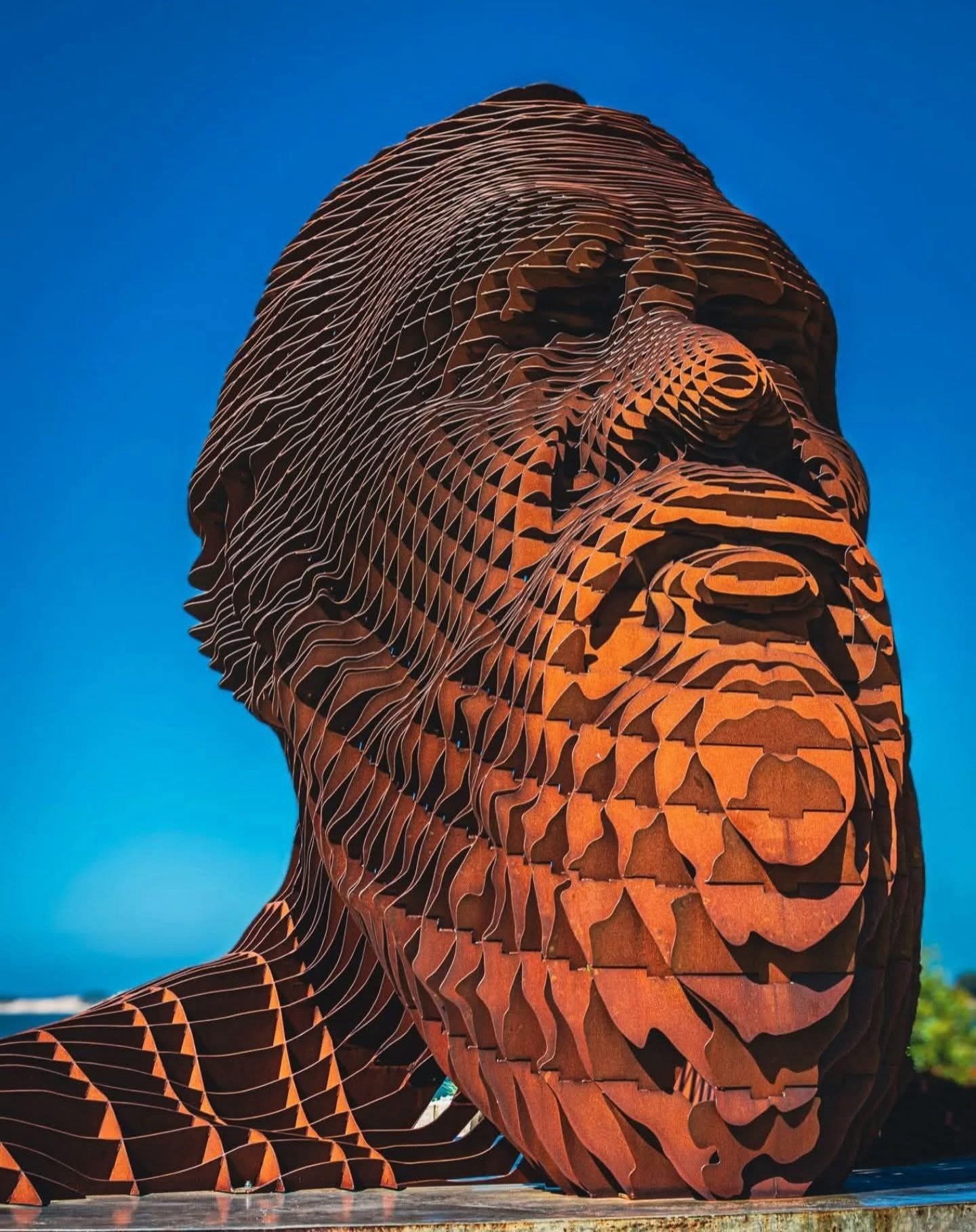 Always Was, Always Will Be 🖤💛❤️