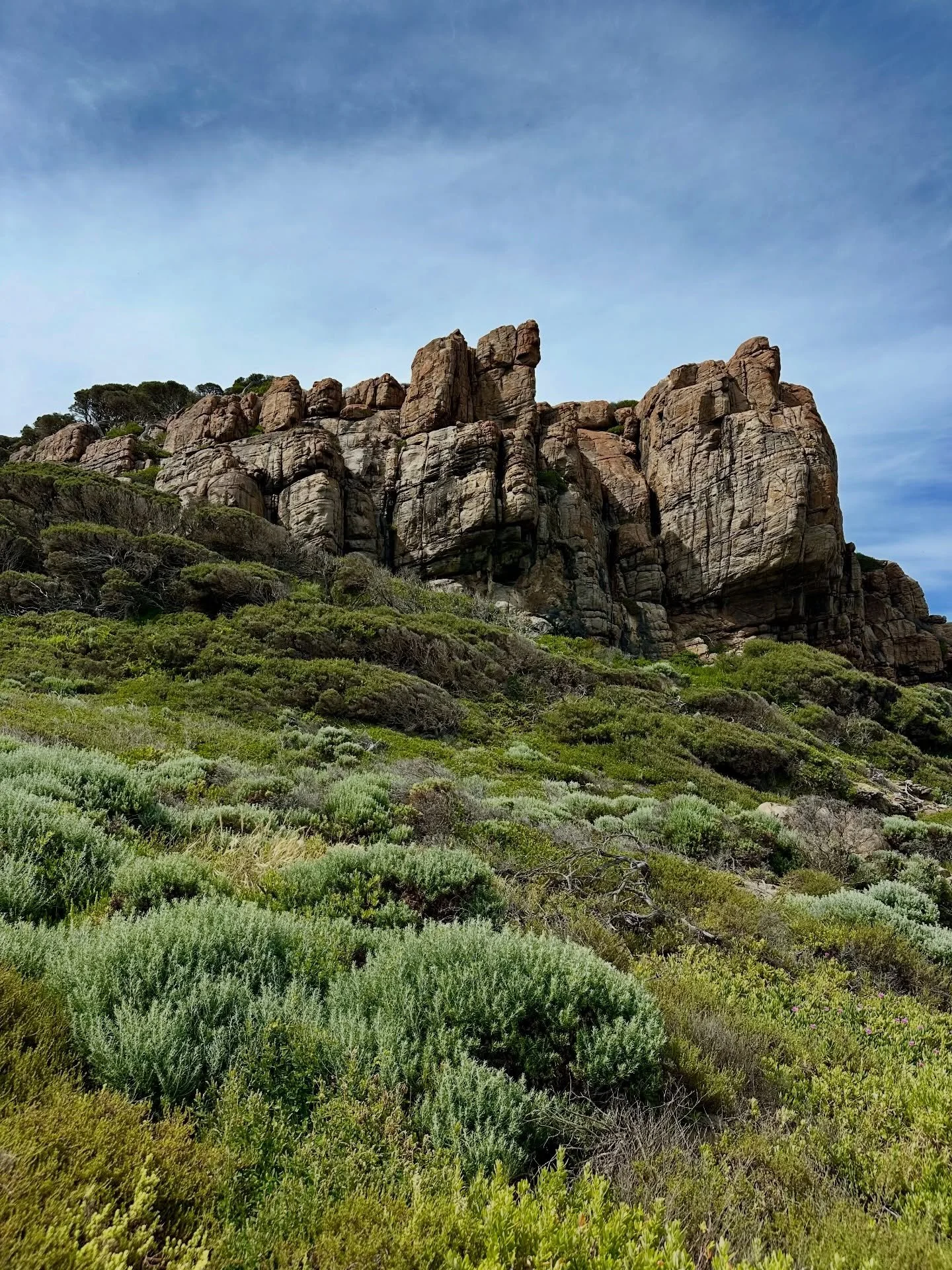 🌏🌿 &ldquo;Nature is not a place to visit. It is home.&rdquo; ~ Gary Snyder.

Did you know that yoga is rooted in nature? In the Yoga Sutras, Patanjali wrote that the teachings of yoga are available in the natural world around us. We just have to ob