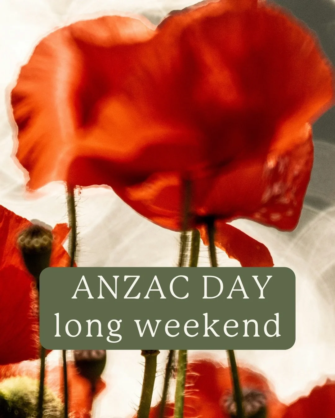 Lest we forget. In respect of ANZAC Day, we will be closed on Saturday 25th April. 🌹

You can practice with us on Friday, Sunday and Monday. See our schedule above. Book in via Mindbody.

#seeyouintheshala #shalayoga #shalaschedule