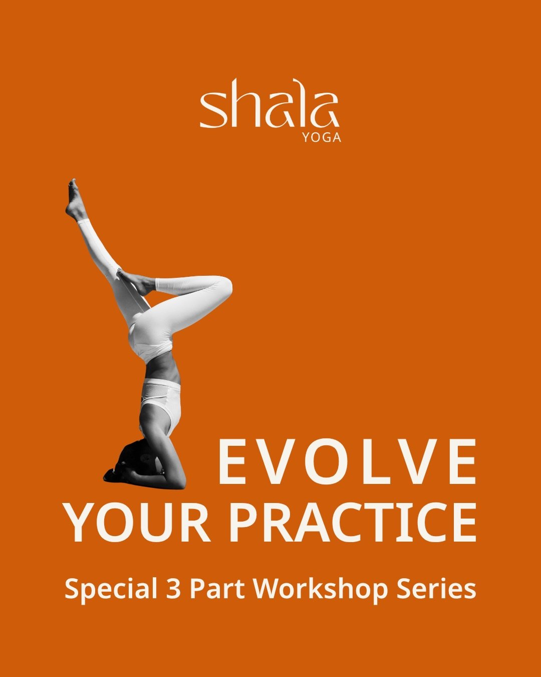 Guess what, these special workshop style classes with Mars are already filling up! Book your spot to evolve your practice 🌱🪴🌳

#seeyouintheshala #shalayoga #evolve #yogaworkshop