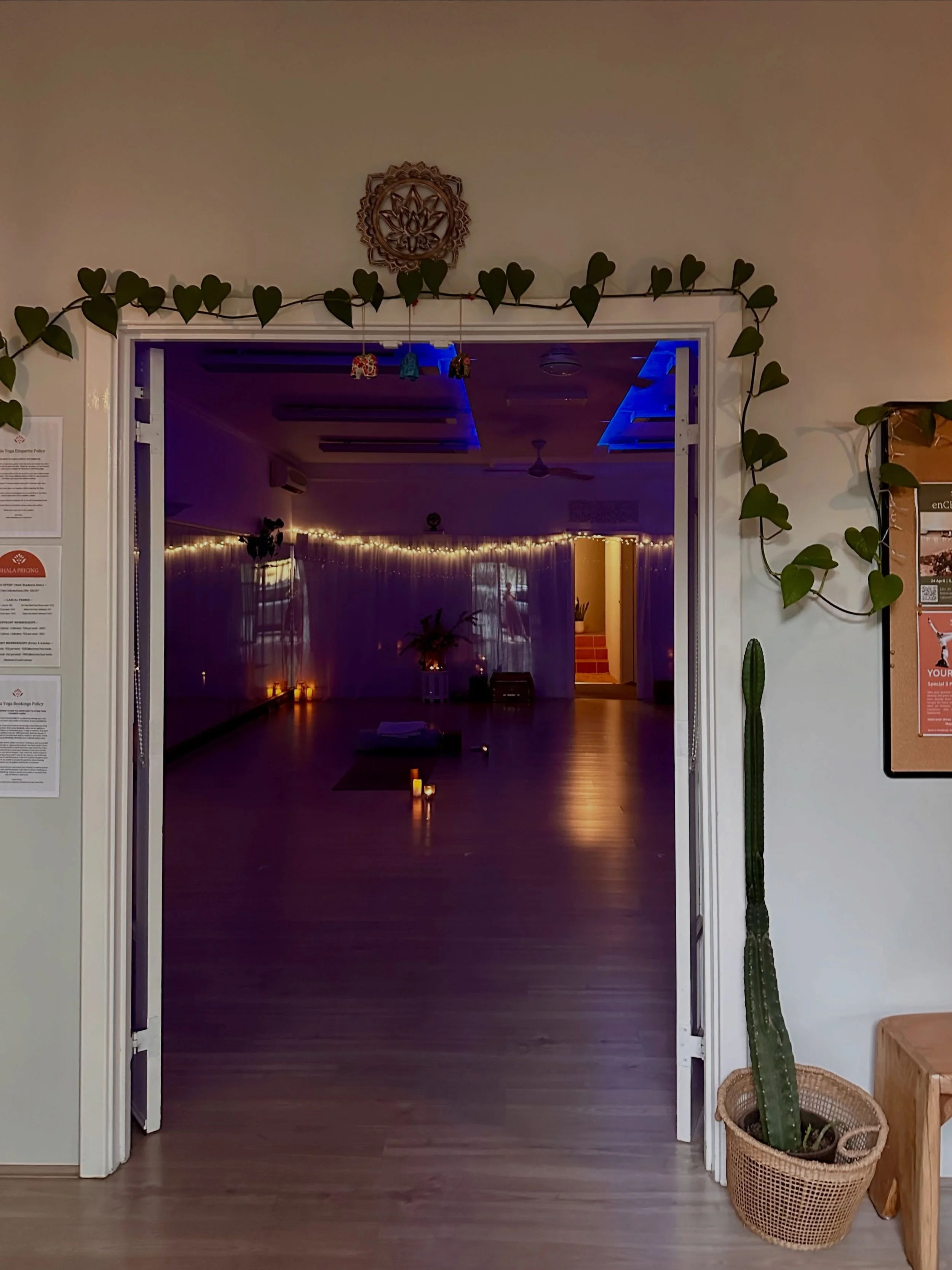 ✨🤗 We are feeling into the cozy vibes as Bunbury is becoming more wet and chilly! Come join us, put your mat down and warm your body and heart with a good dose of yoga.

🧘&zwj;♀️SUNDAY
4.30pm Yin Yang Nidra with Gyani

🧘&zwj;♀️MONDAY 
6am Flow wit