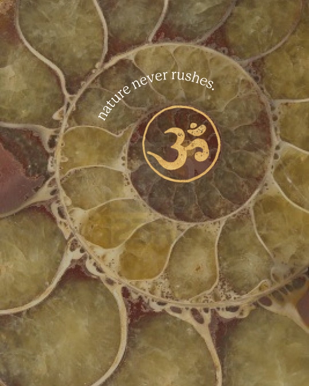 🐚 Trust the spiral.

Nature never rushes. A shell doesn&rsquo;t force itself to grow. It simply unfolds.

Yoga asks the same of us. Not perfection. Not flexibility. Not achievement. Only that we return. 

One breath.
One class.
One practice at a tim