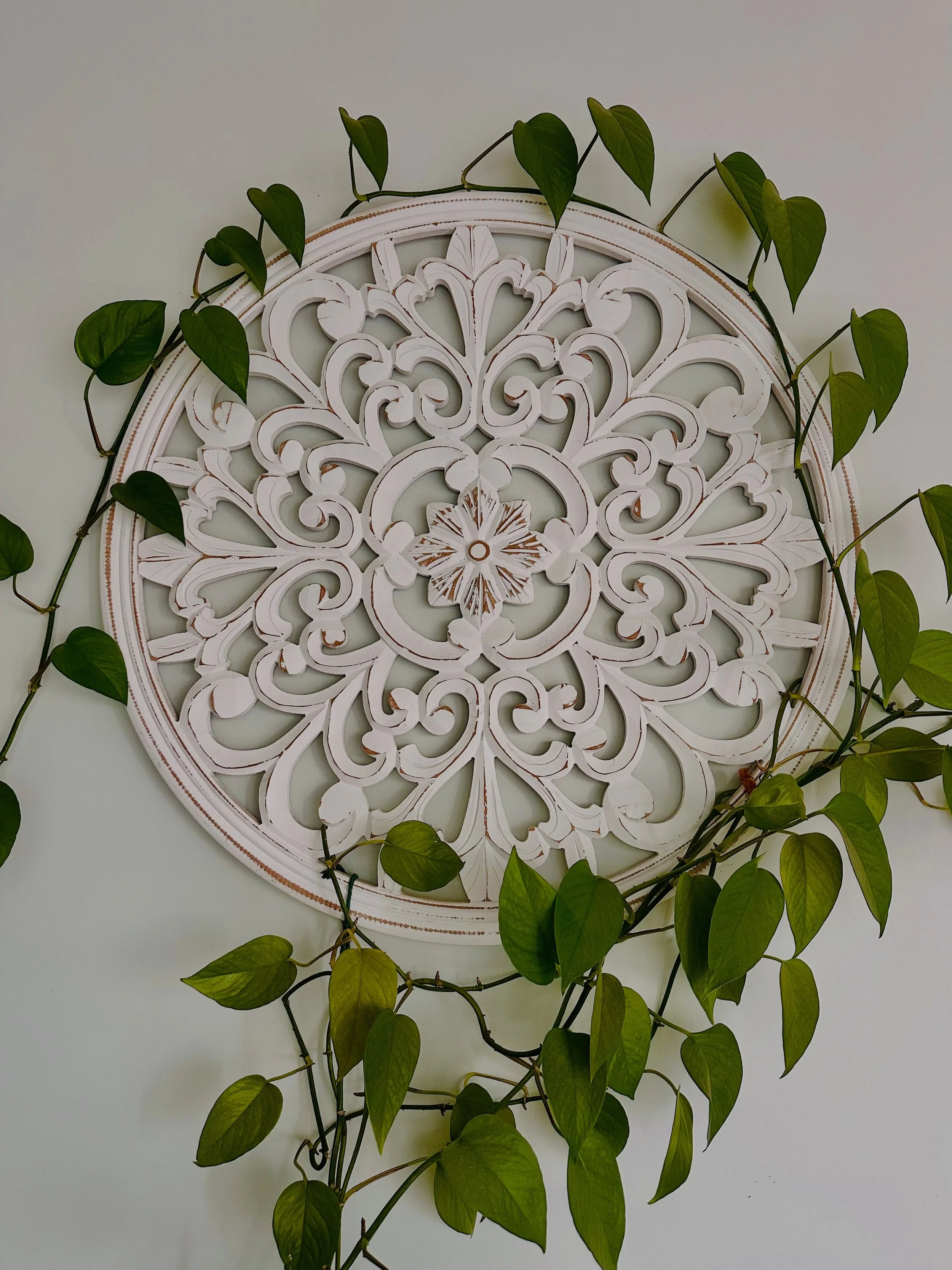 🌿✨ Root down, grow, and reconnect. ✨🌿

There are little reminders all around our Shala to pause, breathe and come back to ourselves. 💚

This beautiful wooden mandala, surrounded by the gentle growth of our vine, reminds us of the beauty of finding
