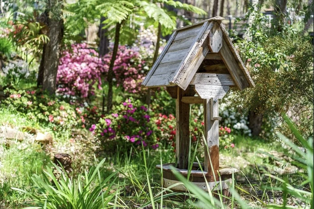 wishing well.jpg