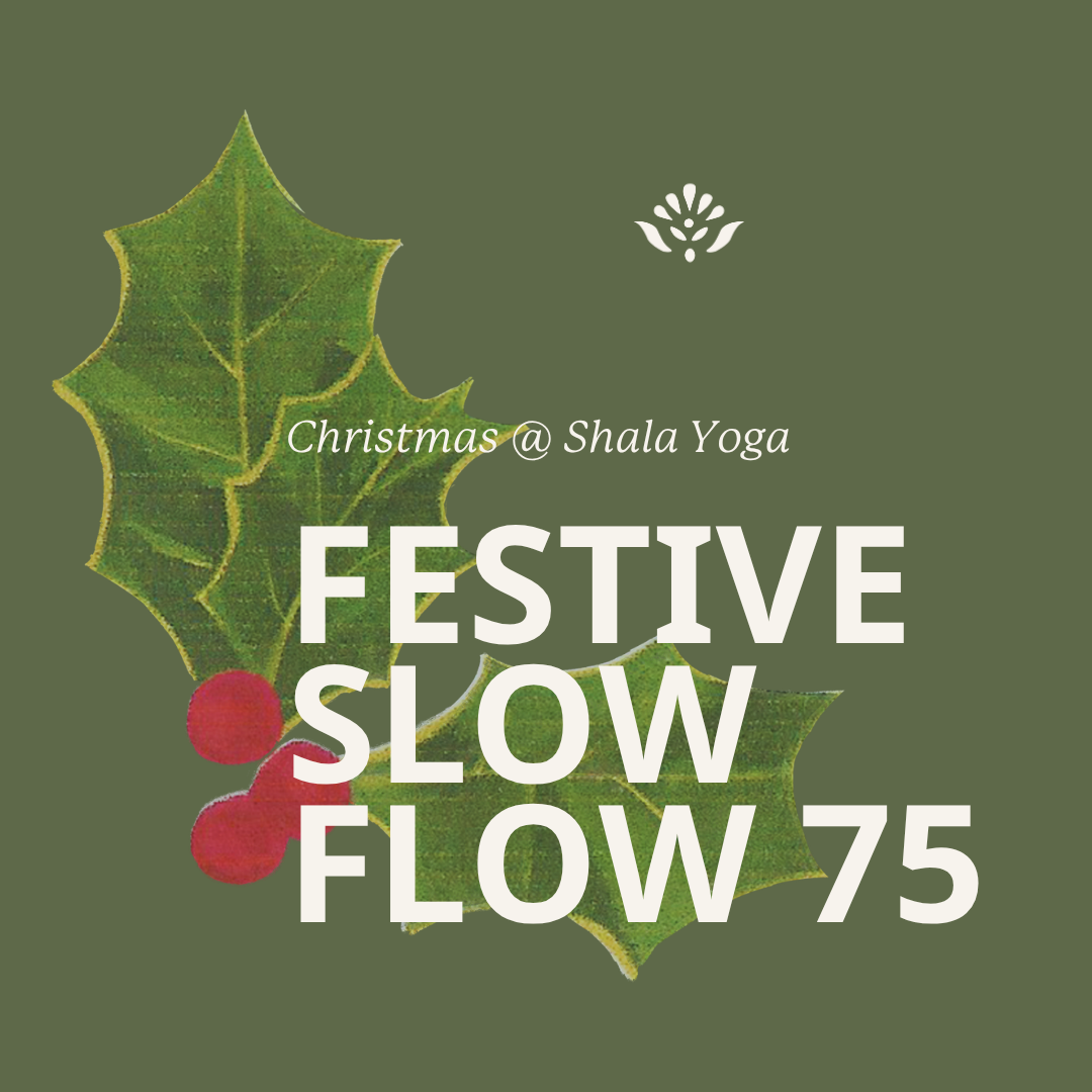 Festive Slow Flow with Mars {19/12/26}