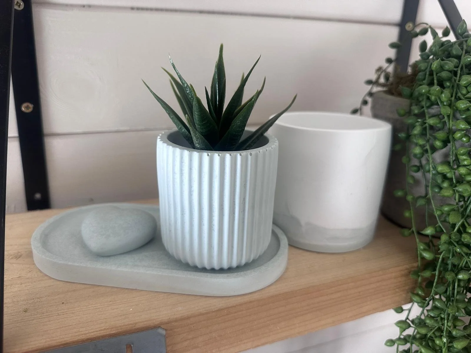 WhatsApp Image 2026-02-18 at 14.19.02 (25).jpeg