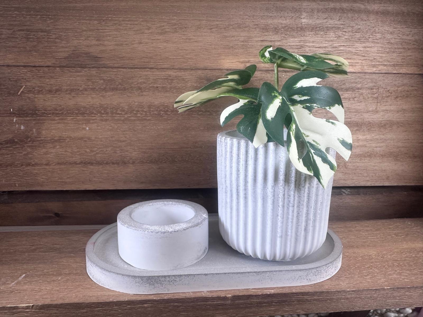 WhatsApp Image 2026-02-18 at 14.19.02 (32).jpeg