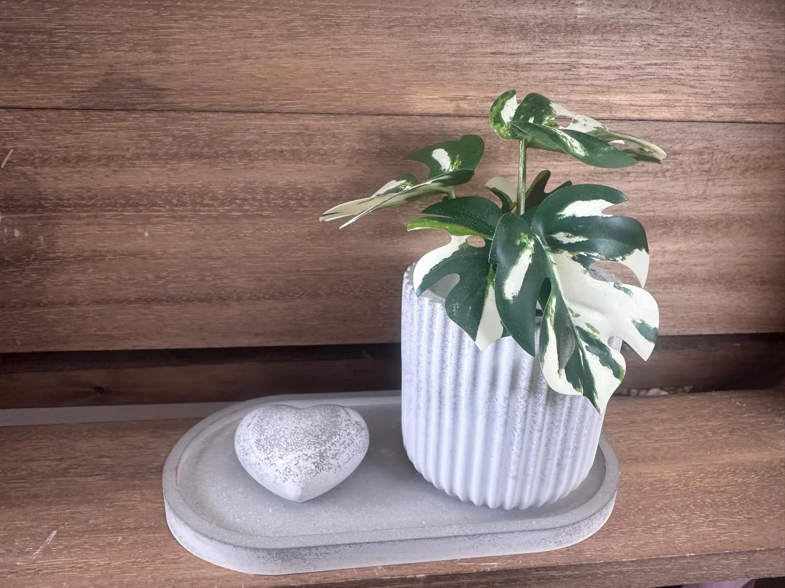 WhatsApp Image 2026-02-18 at 14.19.02 (30).jpeg