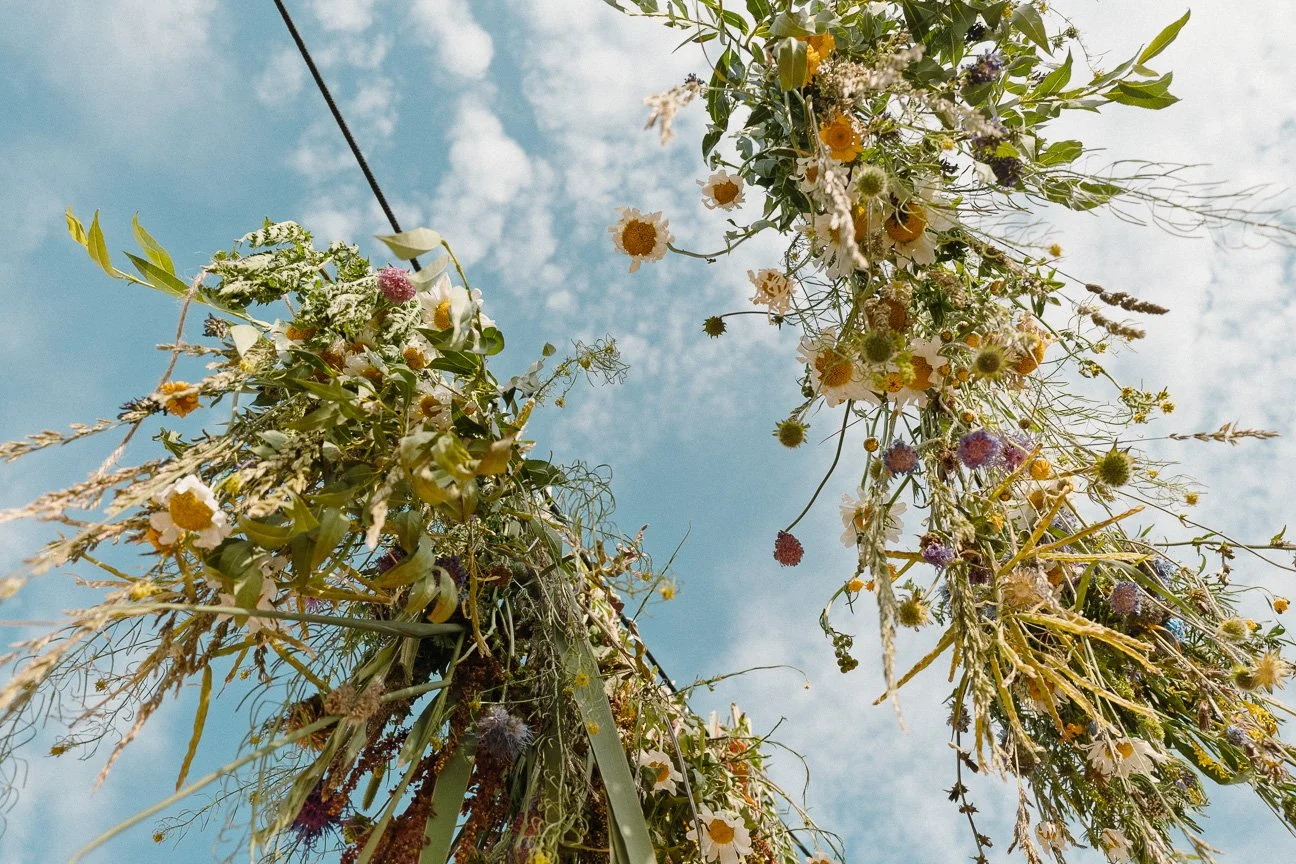 MORGENBRIEFING: ROOTED - PLANTER, MENNESKER OG SCENEKUNST