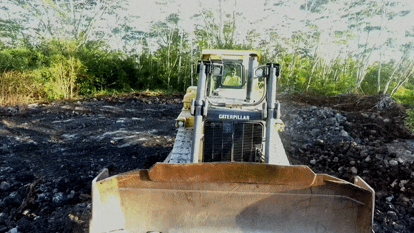 about gif compressed.gif