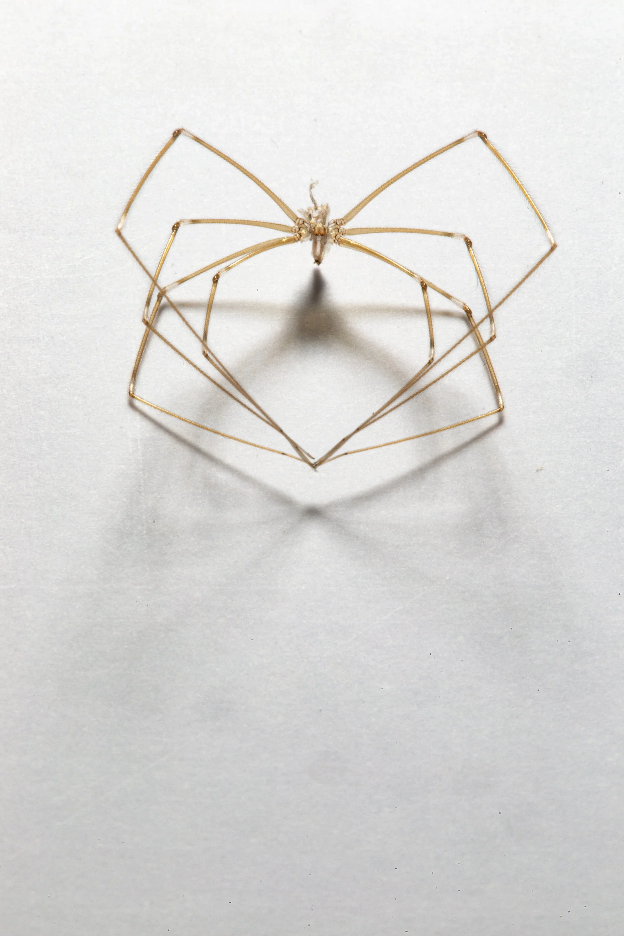 MUEARAIGNEE_1 (1).webp