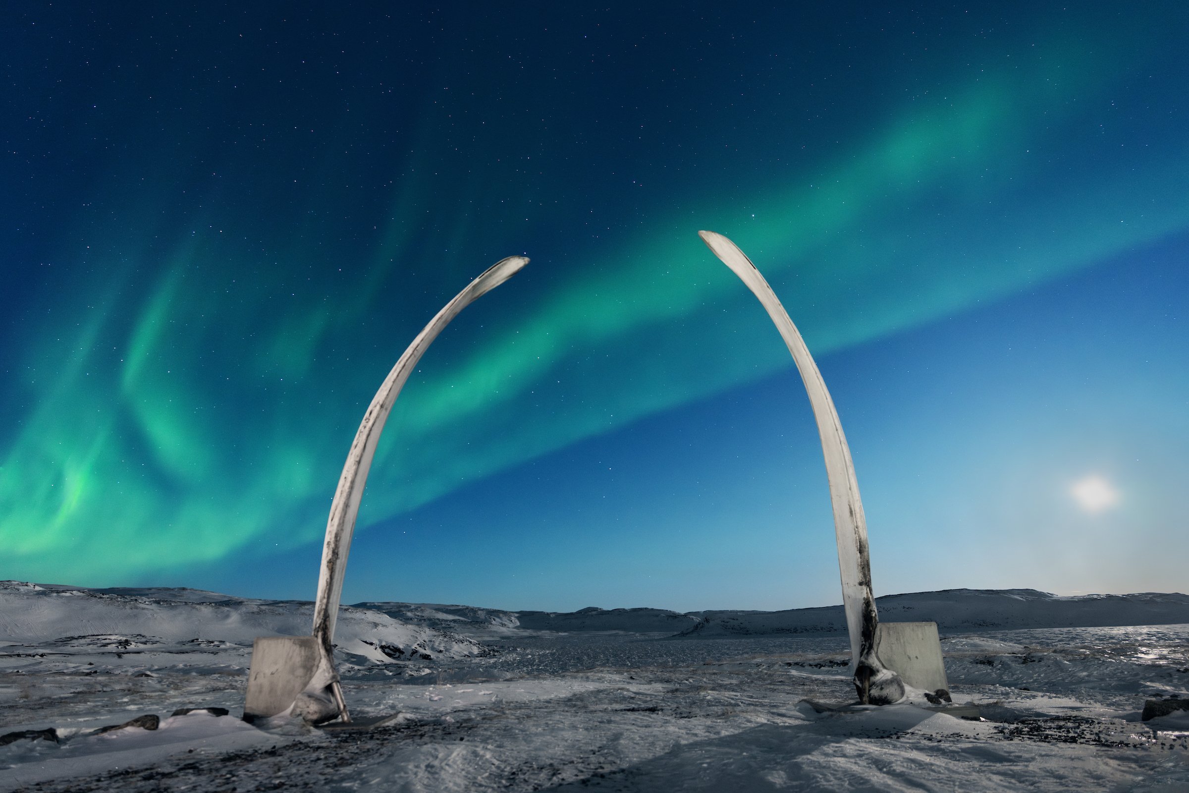 Apex Aurora Cover Horizontal.jpg