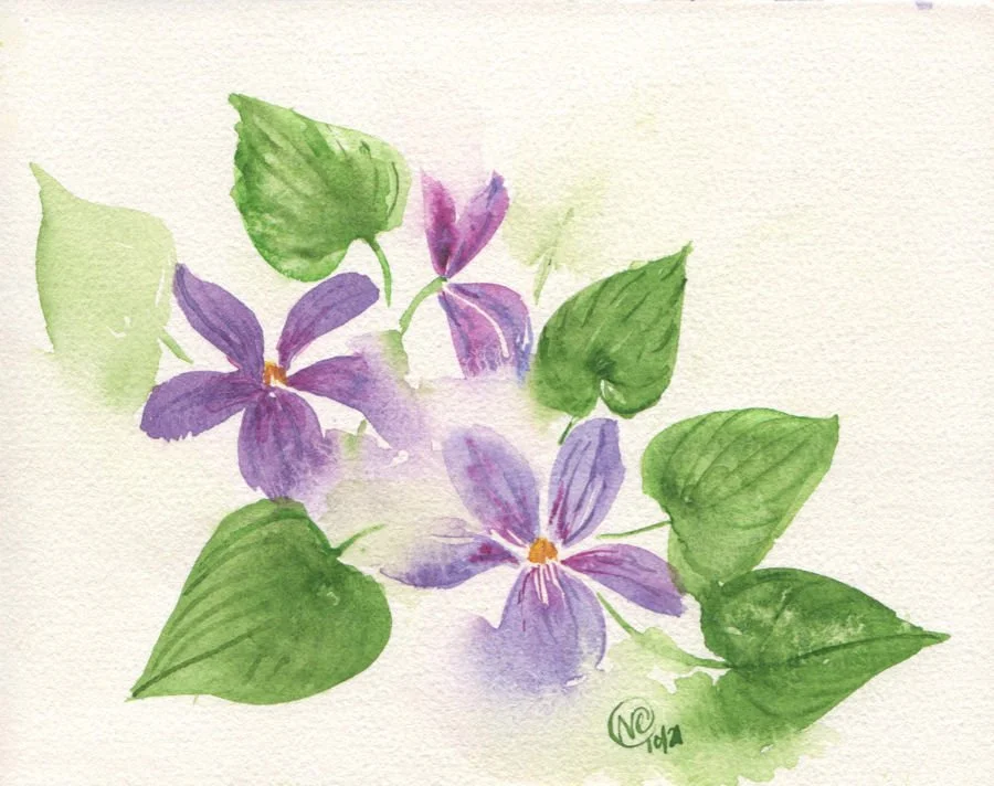 Violets 002 web version.jpg