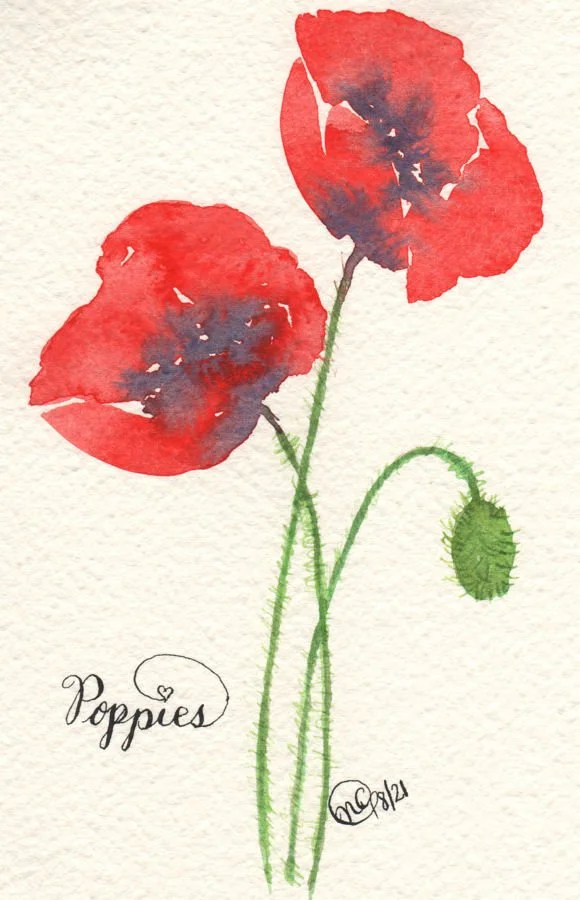 Red Poppies 001cr web version..jpg