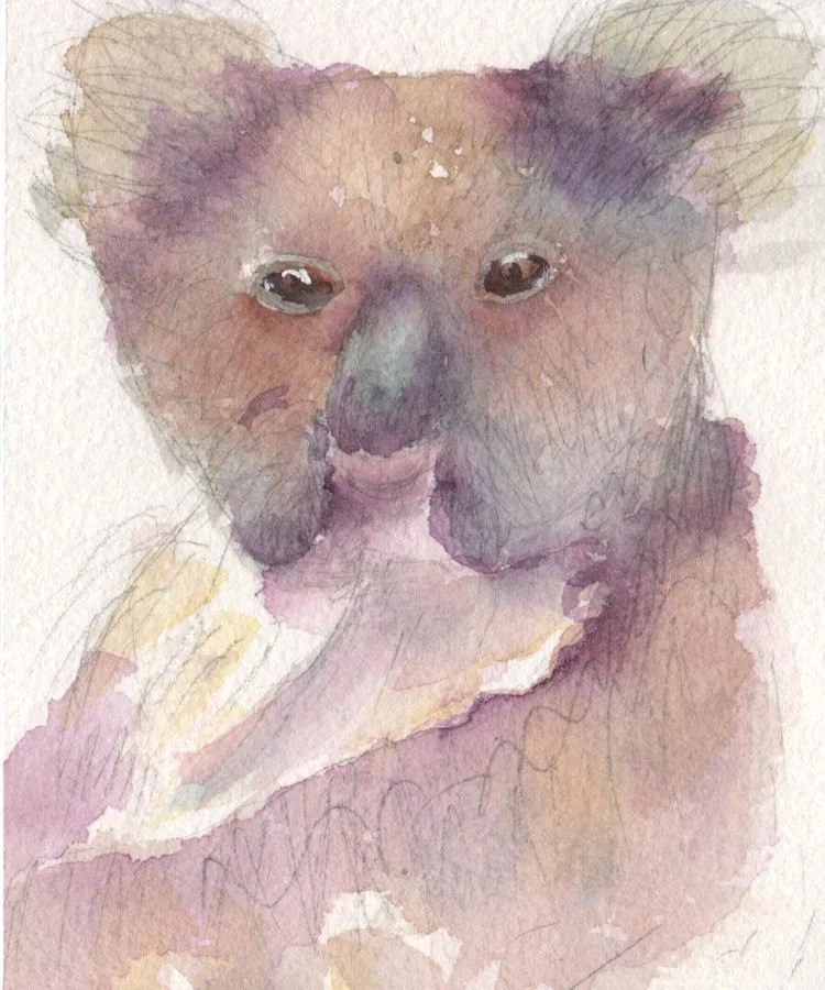 Koala
Pencil sketch and wash on paper 10x12cm
