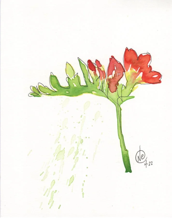 Freesia 001 web version.jpg