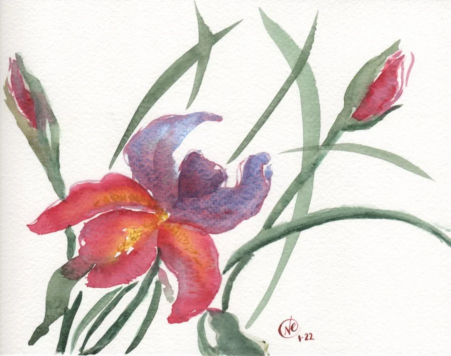 Irises Web version001.jpg