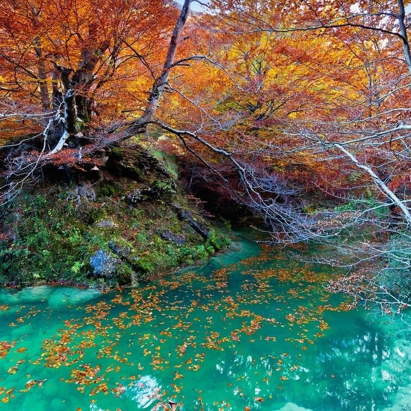 Otoño y marisco