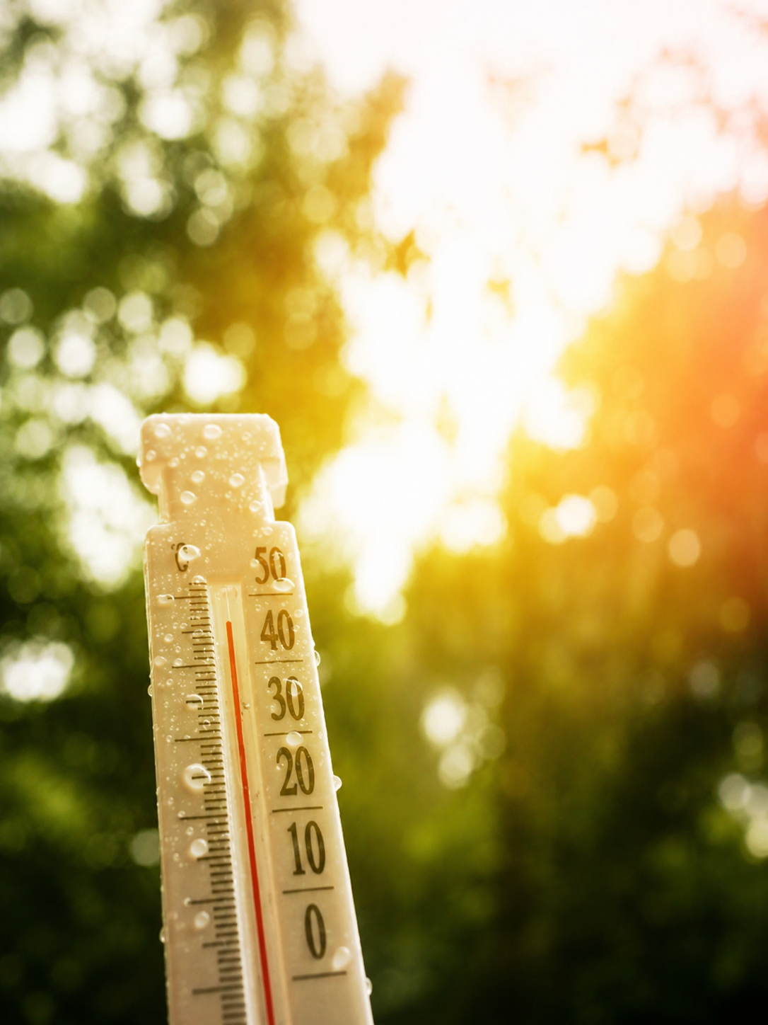 ¡Refúgiate de este calor con nosotros!