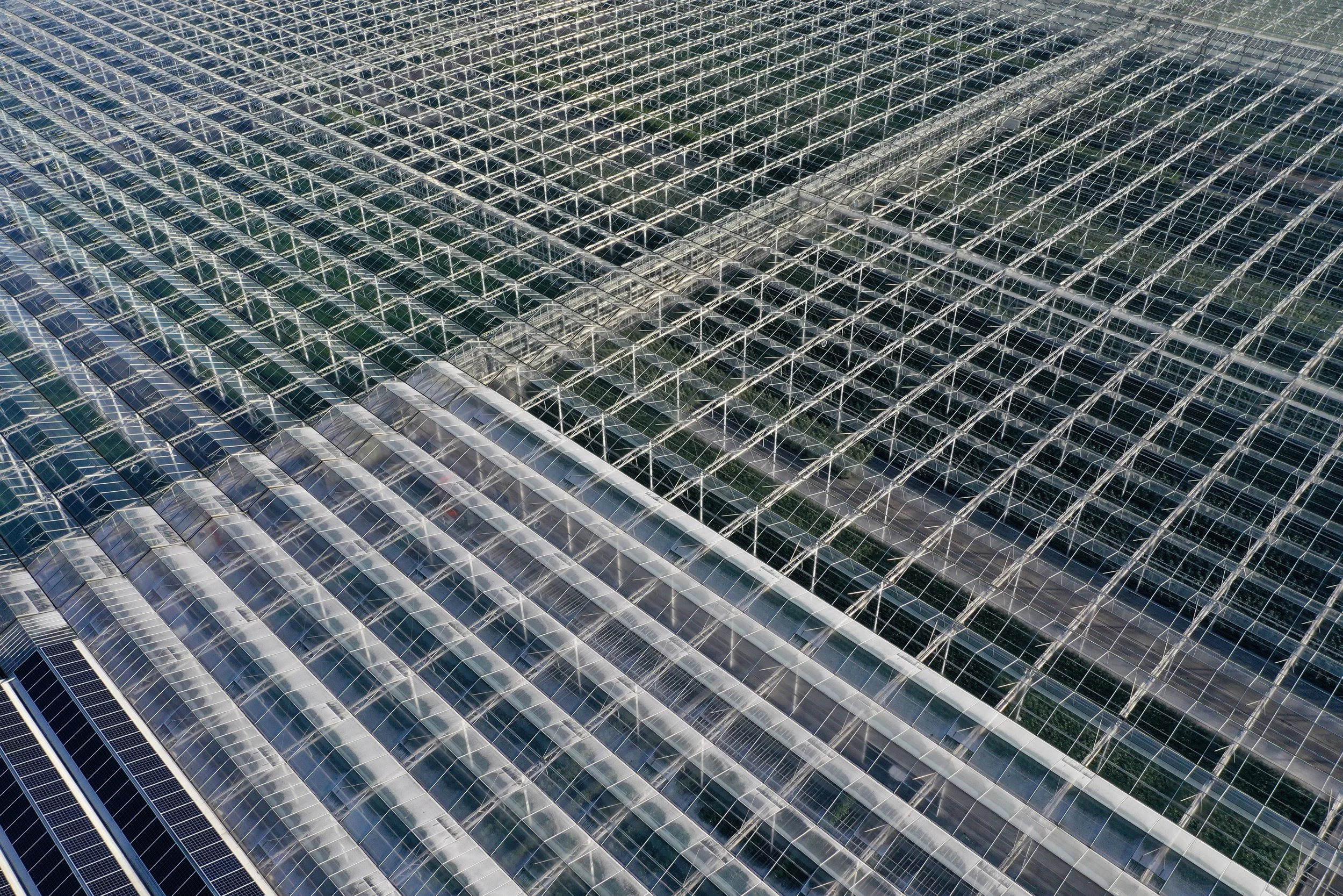 Glastuinbouw en klimaatdoelen