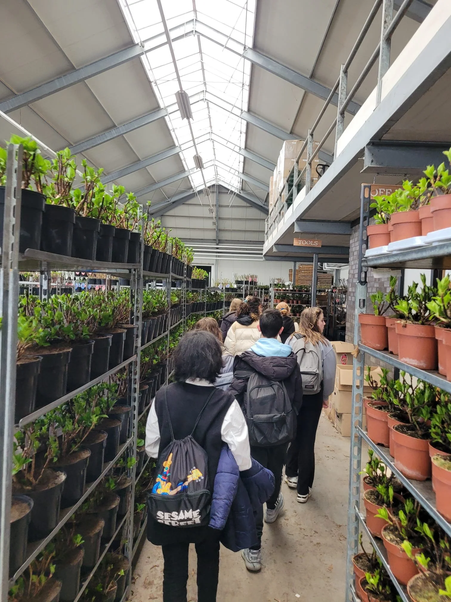 Leerlingen Vakcollege Thamen op bezoek bij Royal FloraHolland en Van Klaveren Hortensia