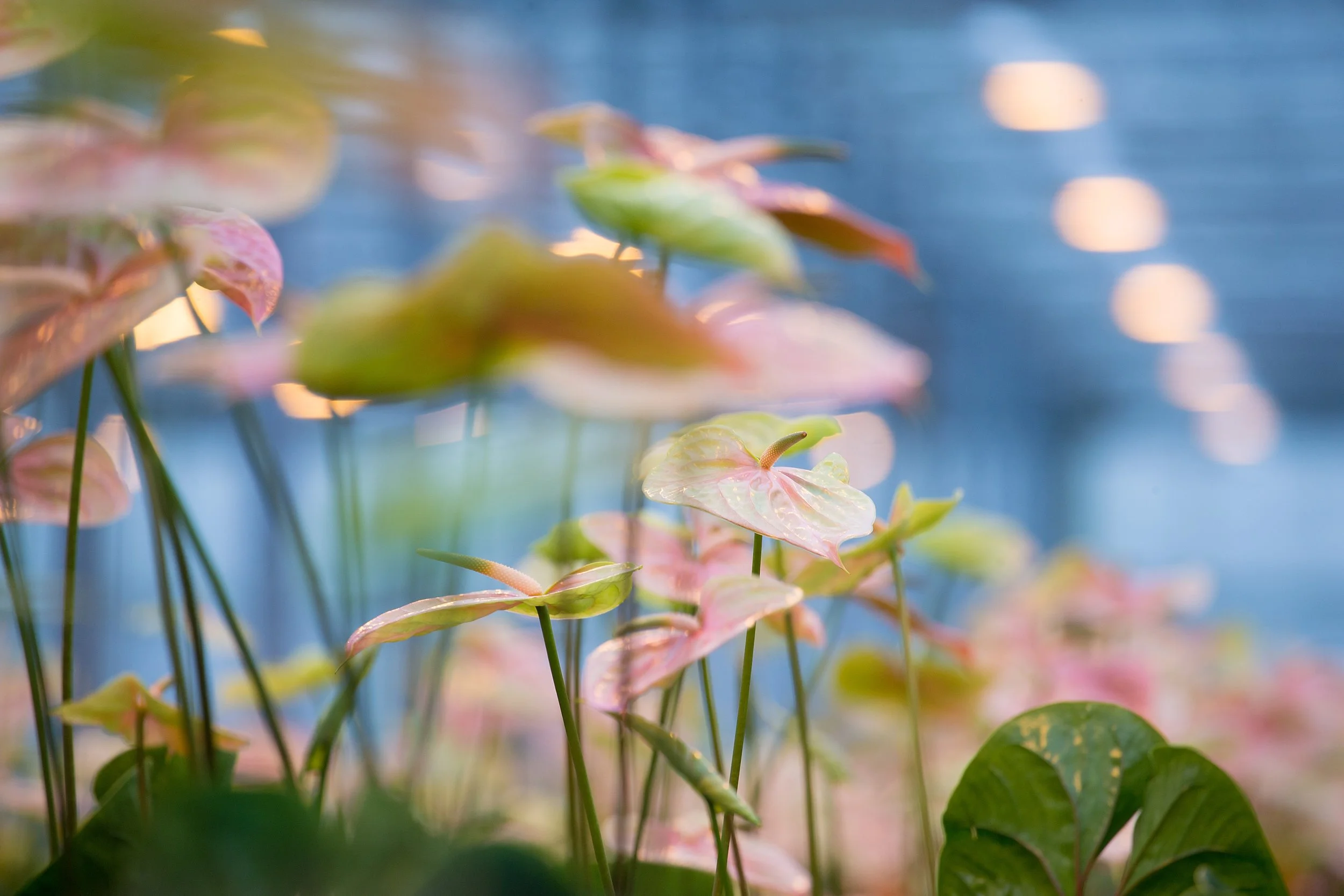 Gezocht: projectleider circulariteit