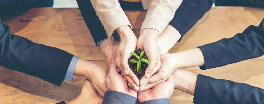 Klappen landbouwakkoord geen directe gevolgen (glas)tuinbouw