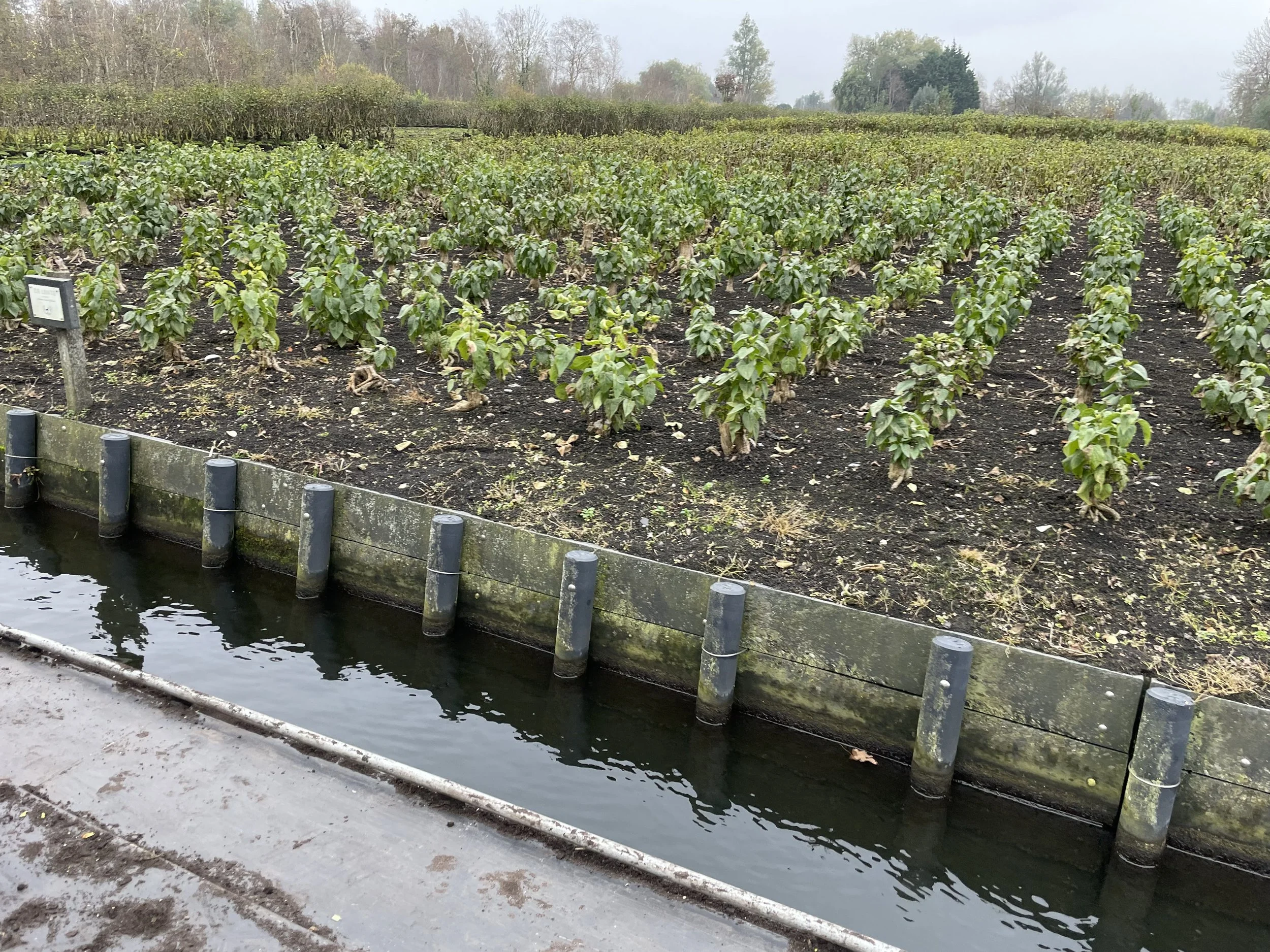 Subsidie toegekend voor gebiedsgerichte aanpak Bovenlanden en Westeinderplassen