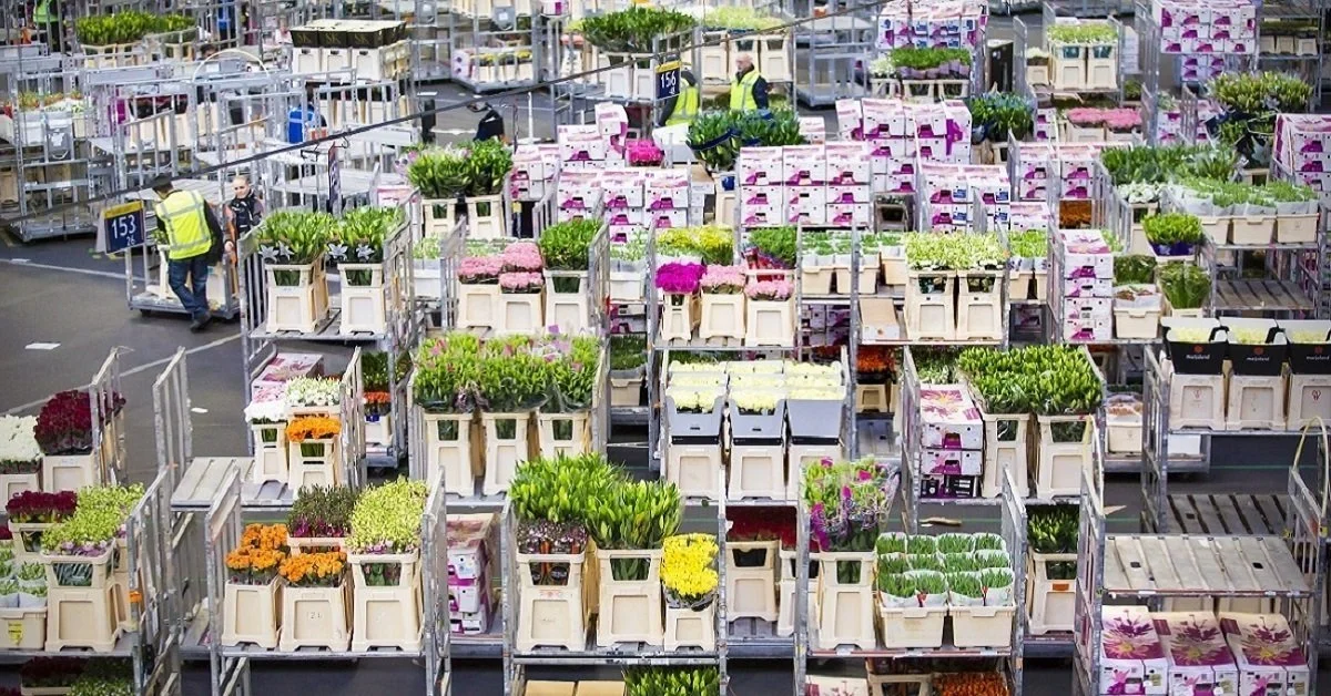 Tuinbouw groeit naar ruim €33 miljard productiewaarde en blijft investeren in innovatie 