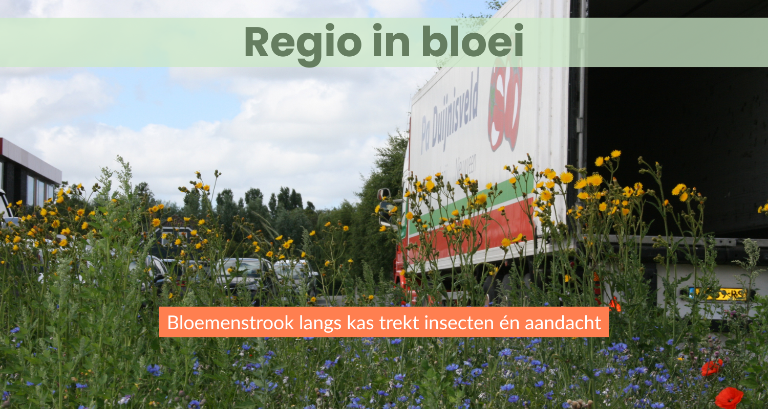 Bloemenstrook langs kas trekt insecten én aandacht