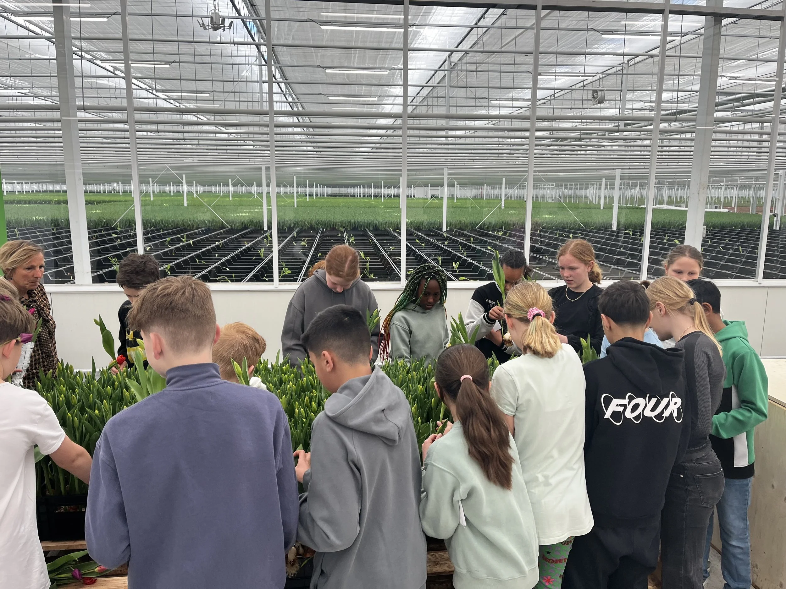 Groep 8 van IKC Het Duet duikt de kas in