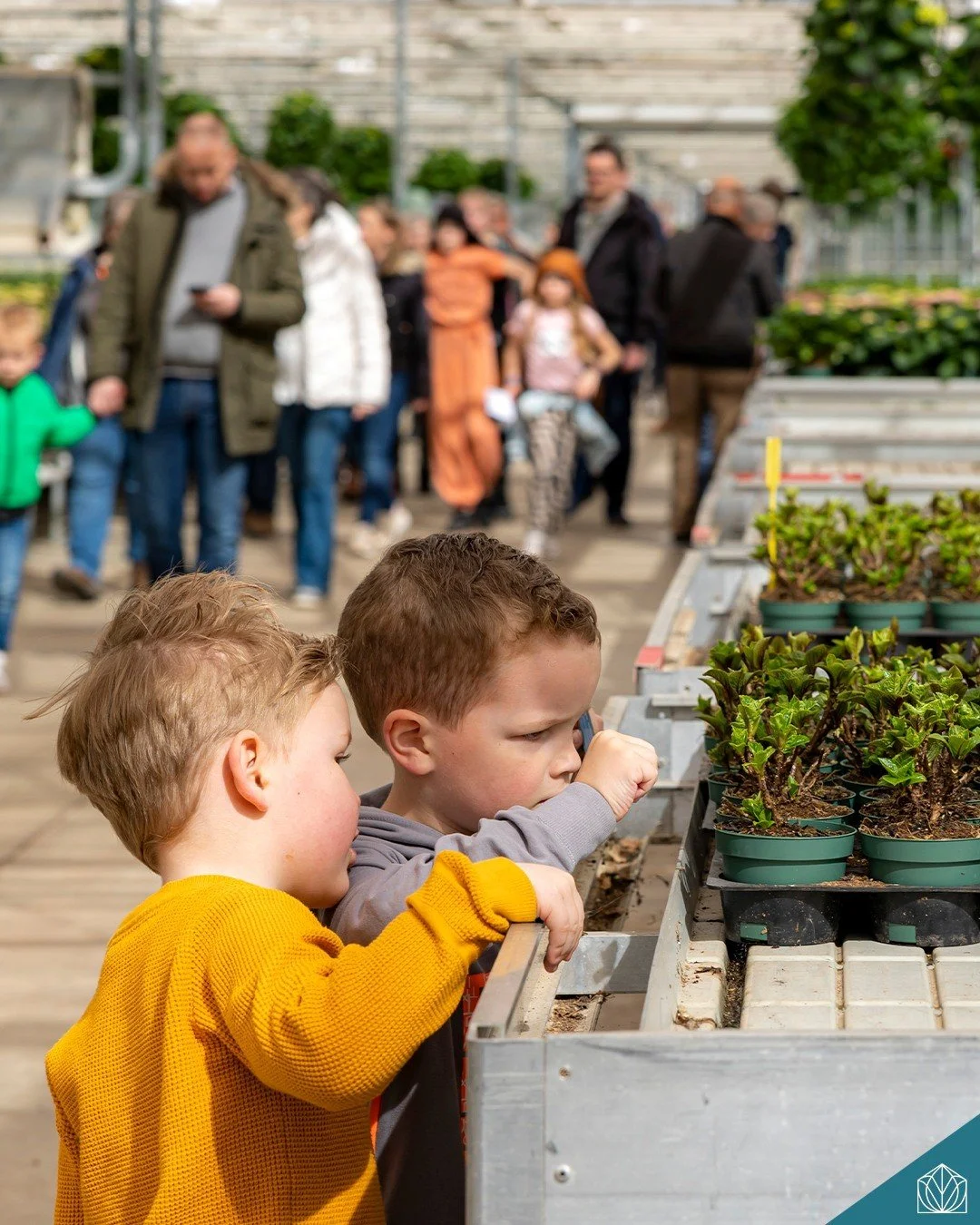 Lees het laatste nieuws uit Greenport Aalsmeer