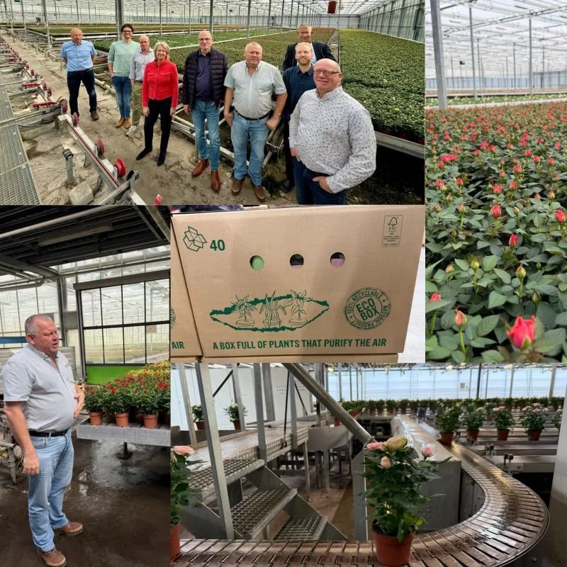 Lees het laatste nieuws uit Greenport Aalsmeer