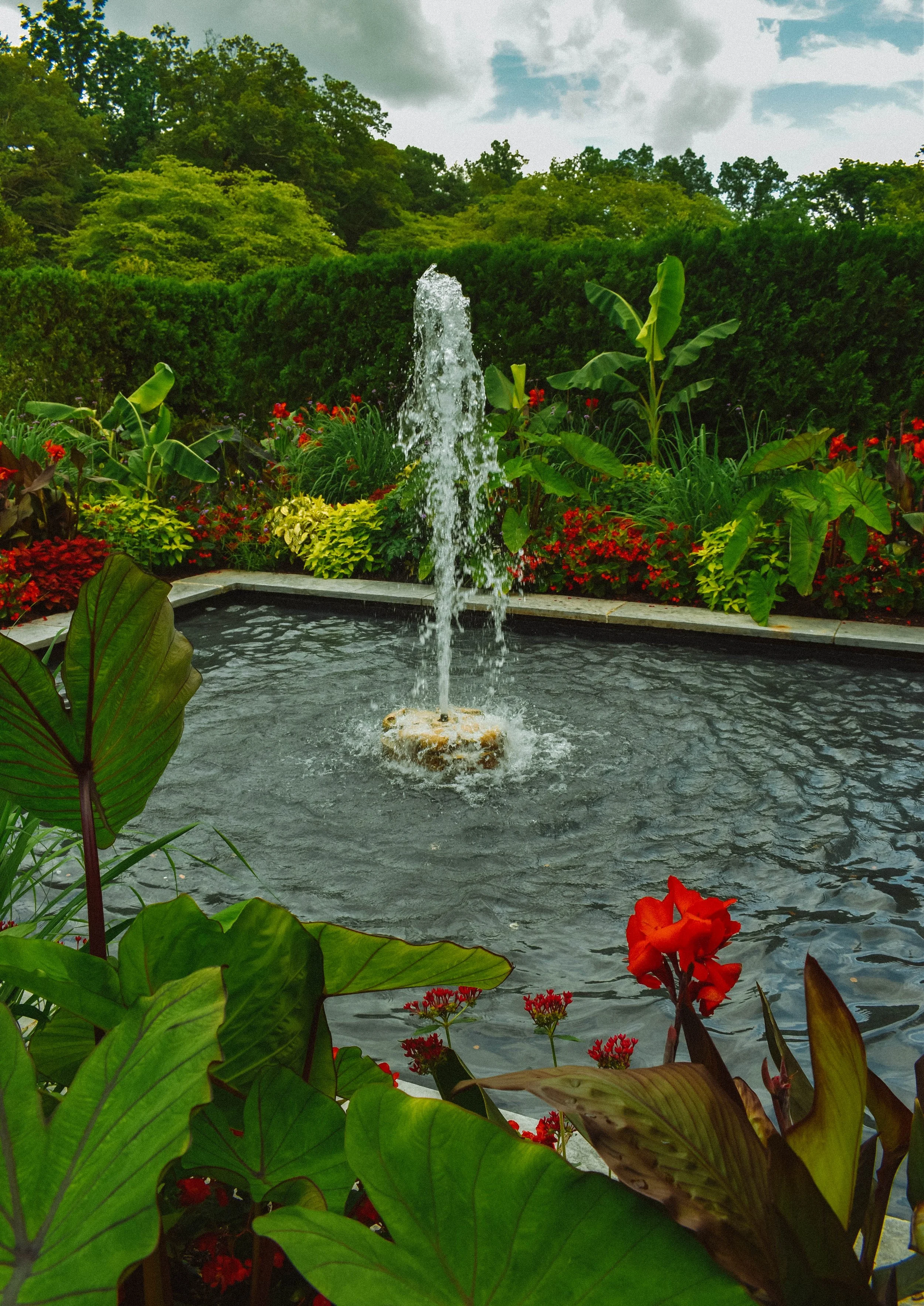 Longwood (5 of 1)-5.jpg